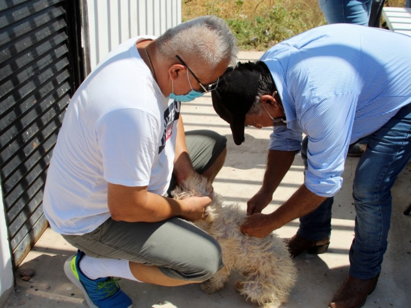 Instalará Ayuntamiento módulo de vacunación de mascotas