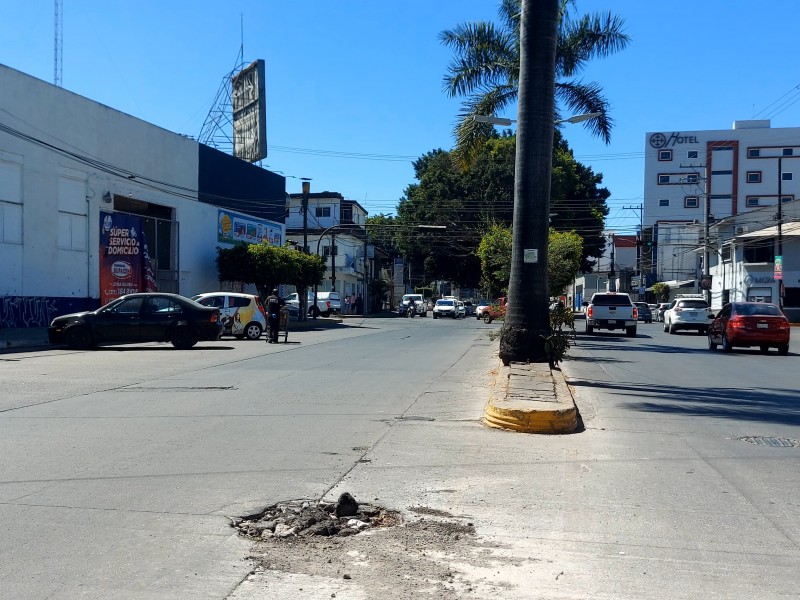 Instalarán Camellón ecológico de P. Sánchez a Ures sobre Insurgentes