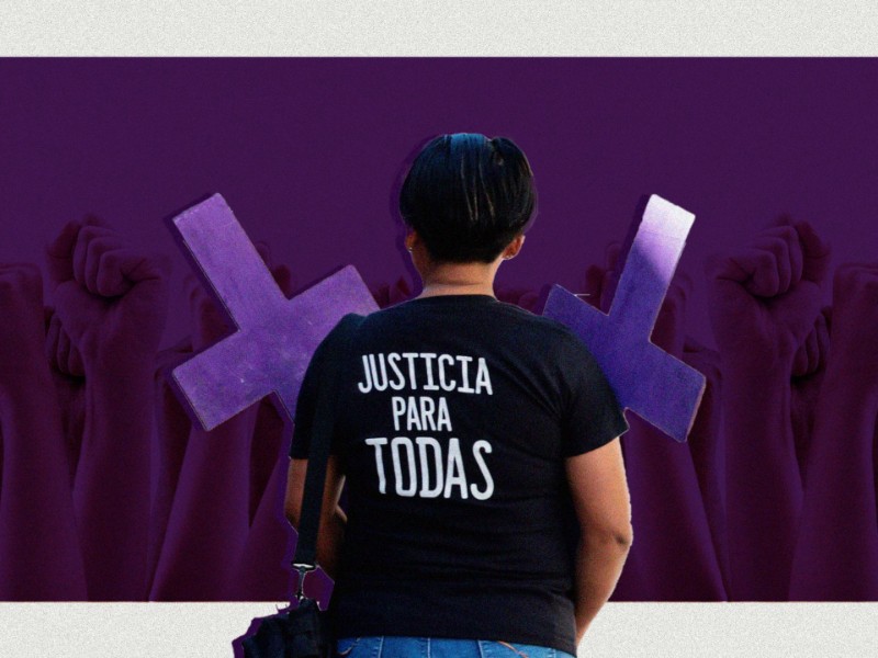 Instituciones ven Alerta de Violencia de Género como una carga