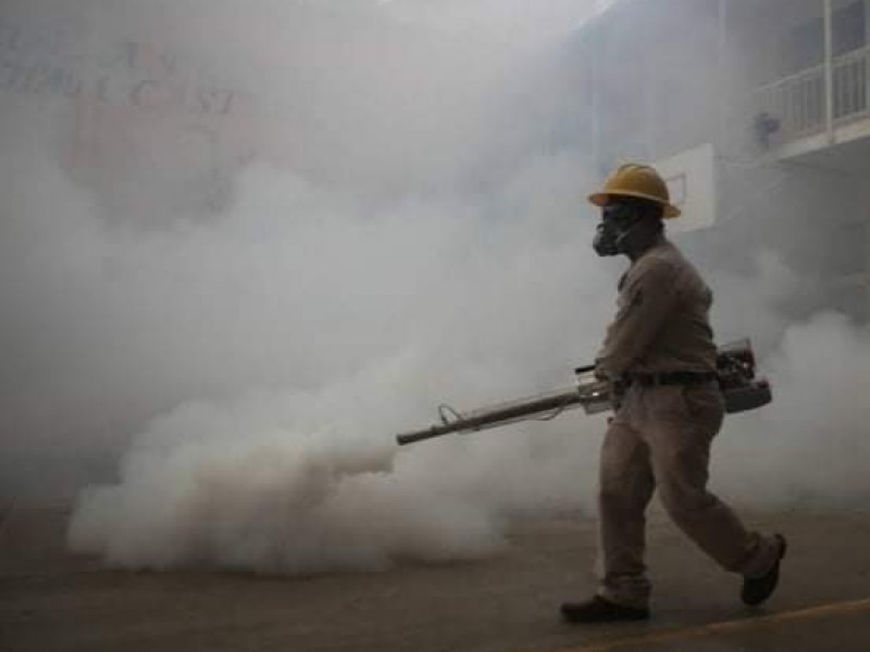 Insuficiente fumigación ante nula participación ciudadana en campañas de descacharrización