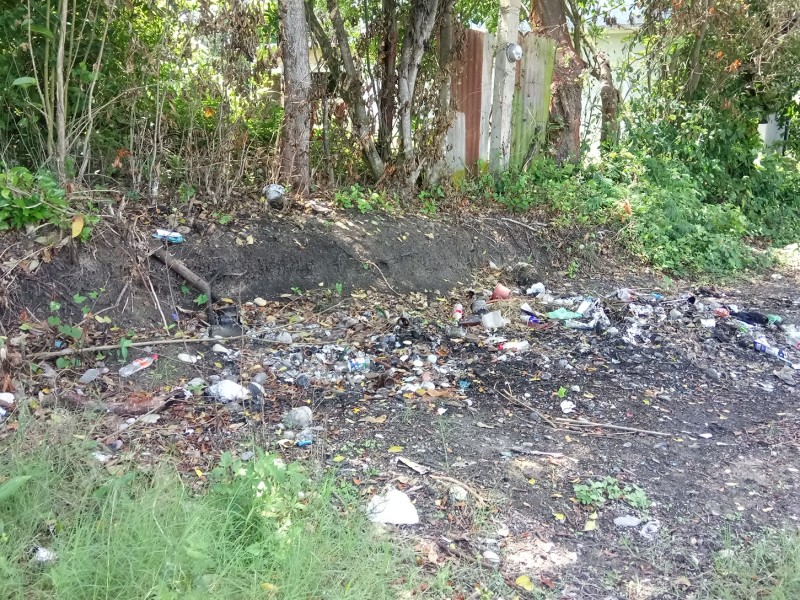 Insuficientes camiones recolectores de basura en Tuxpan