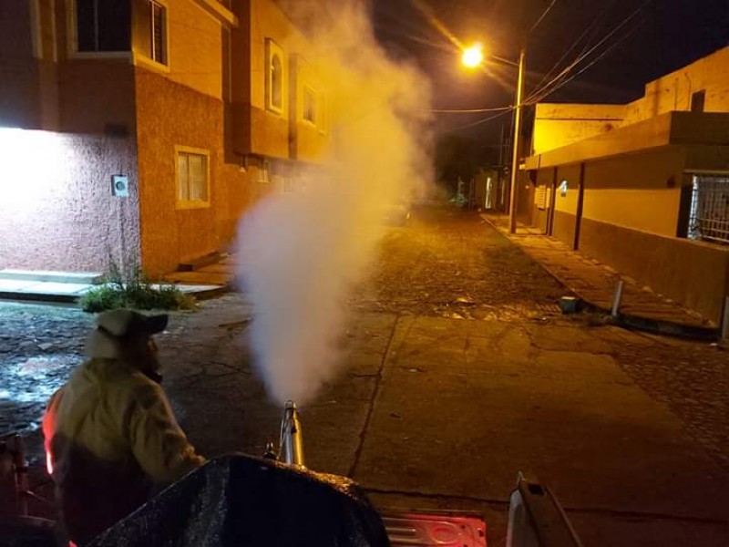 Insuficientes las labores de fumigación en Zamora