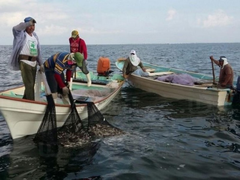 Integran a pescadores en expo emprende para apoyar sus pérdidas