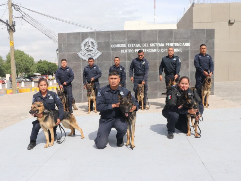 Integran al Sistema Penitenciario una Unidad de K-9