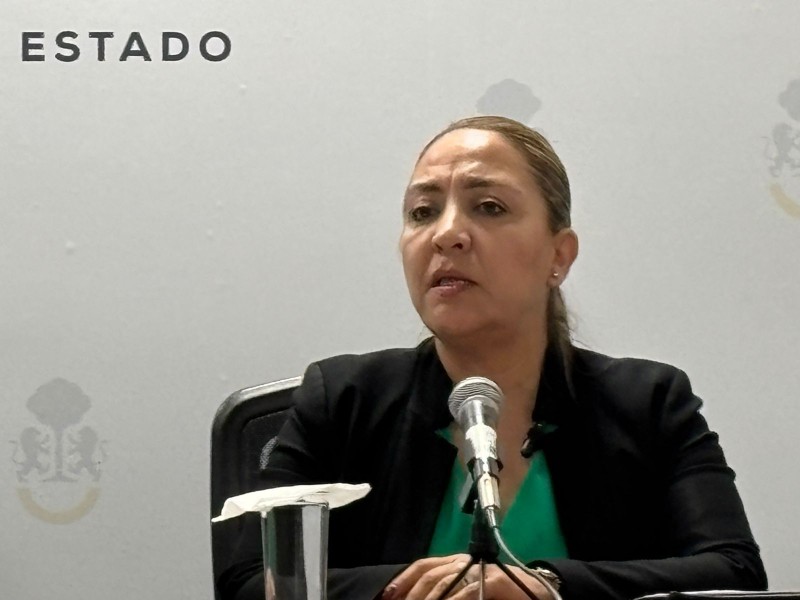 Integran imágenes en investigación en casos Luis Armando y Valeria