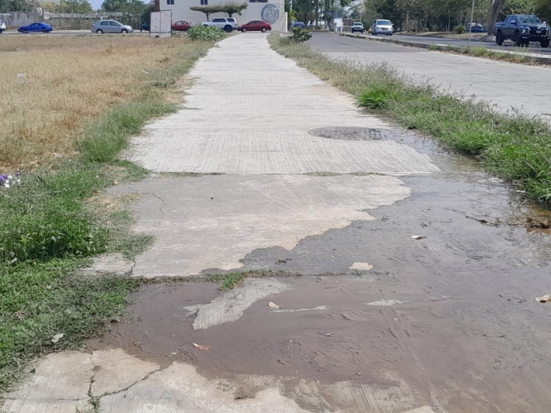 Intensa fuga de agua en banqueta de avenida Enrique Corona