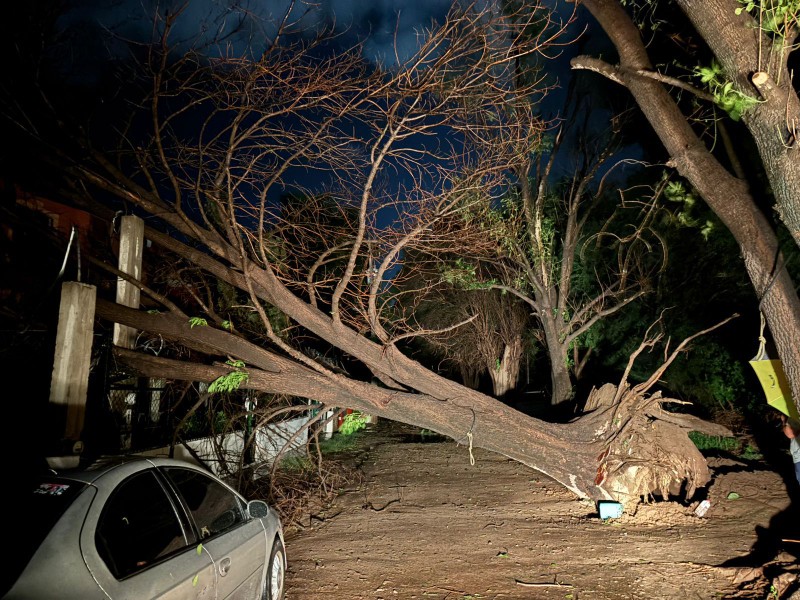 Intensa lluvia en El Fuerte deja afectaciones en el suministro eléctrico