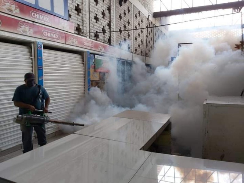 Intensifican acciones contra el dengue en Zamora, fumigan principales mercados