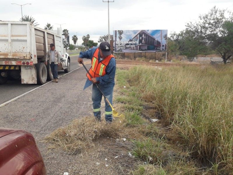 Intensifican acciones de limpieza en San Carlos