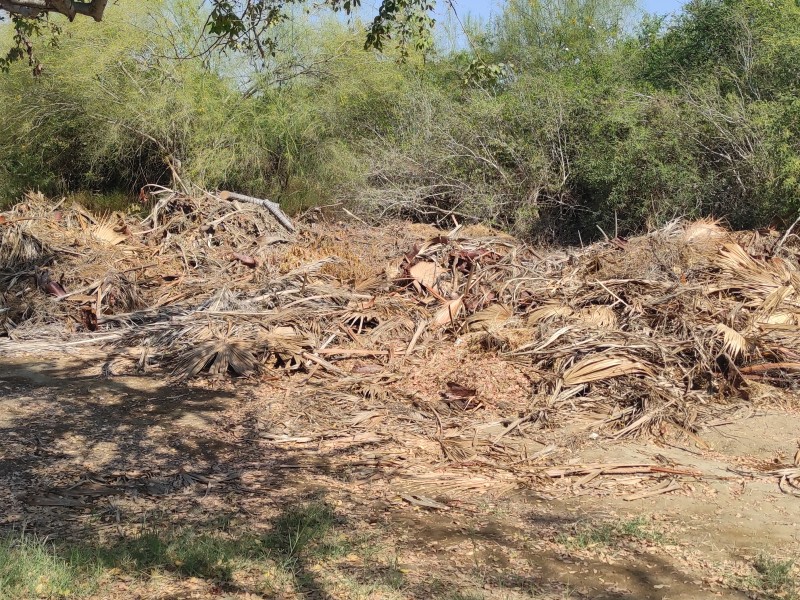 Intensifican autoridades labores de limpieza en Estero