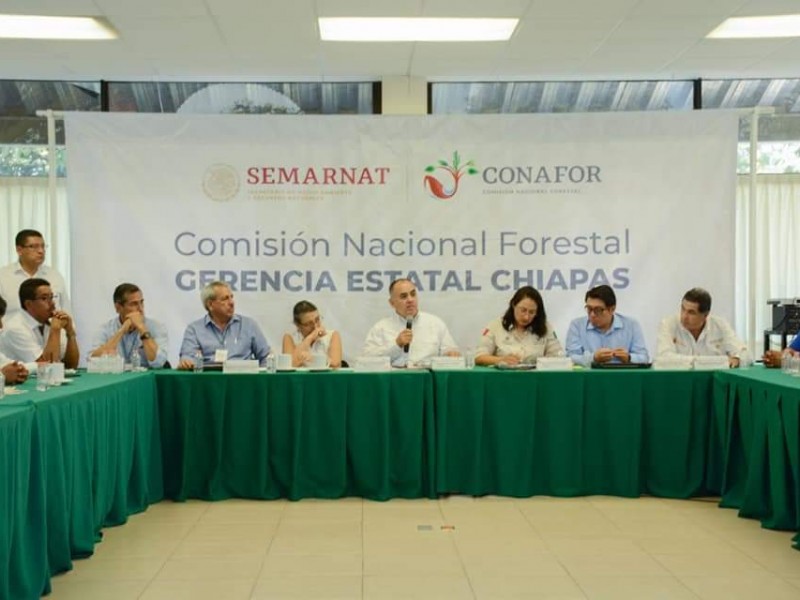 Intensifican autoridades, medidas preventivas para combatir incendios