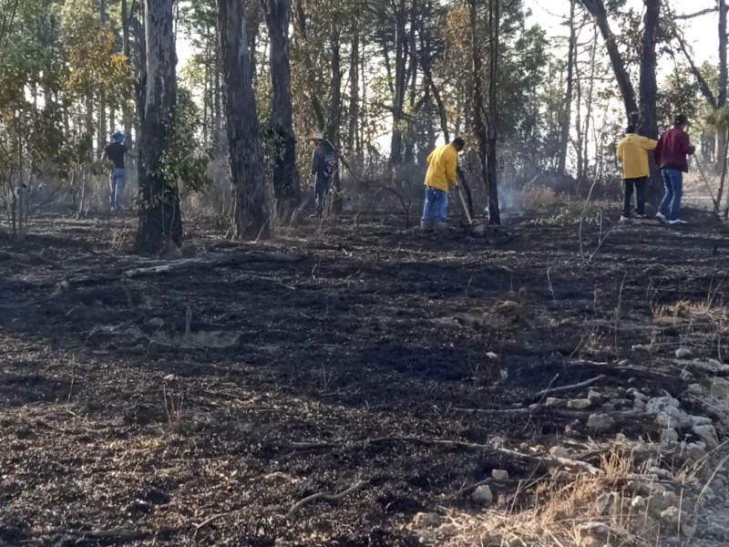 Intensifican incendios forestales por ola de calor en Michoacán