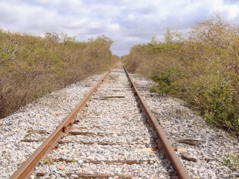 Intensifican trabajos para modernización de la línea K de ferrocarriles