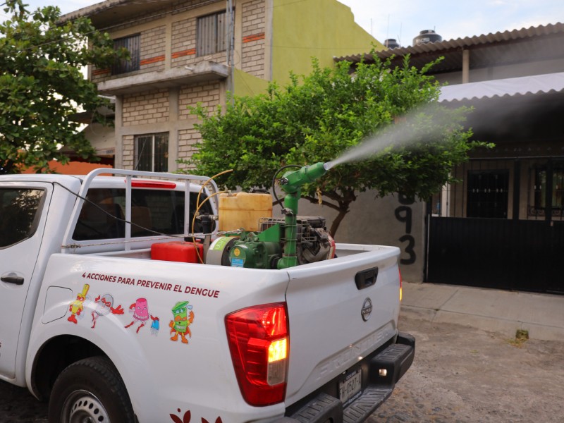 Intensificarán fumigación contra mosco del dengue en cuatro municipios