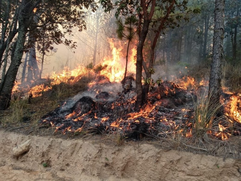 Intensos trabajos para sofocar incendio en Perote