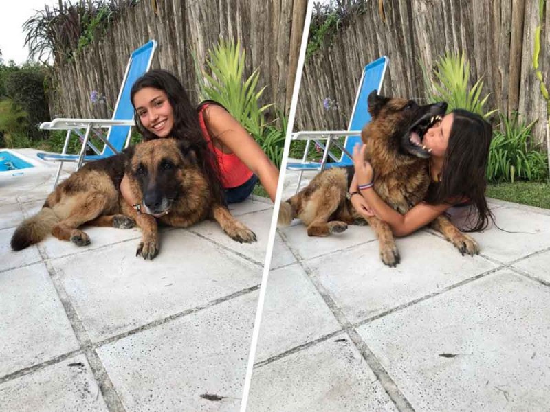 Intentó hacerse 'selfie' con su perro; termina lesionada