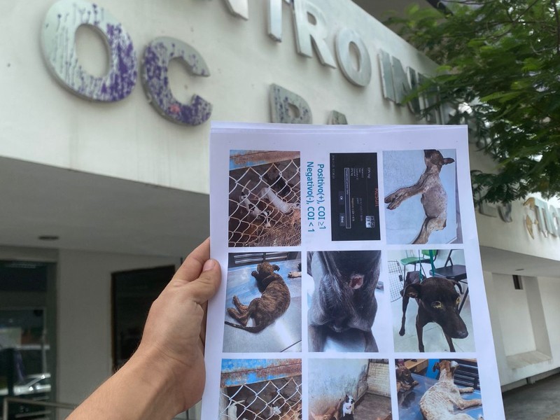 Interponen denuncia contra antirrábico en Ahome, exigen cierre