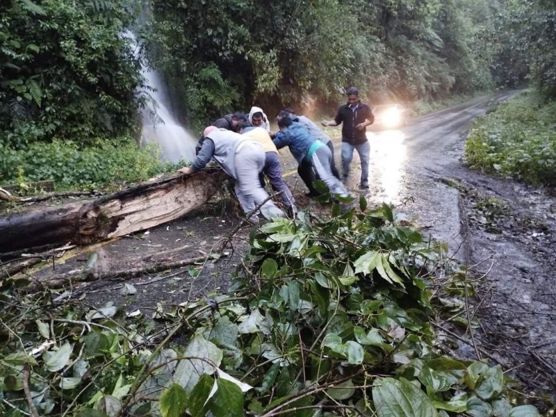 Interviene Protección Civil ante derrumbe en carretera de Valle Nacional