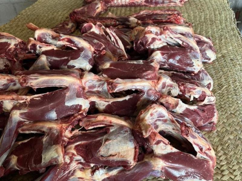 Introductores de caderas pronostican una buena temporada