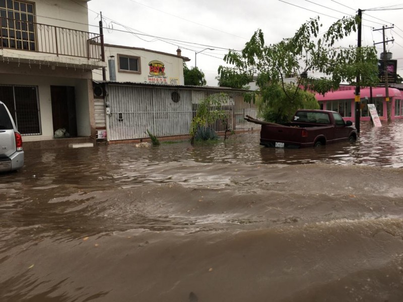 Inundaciones dejan pérdidas económicas