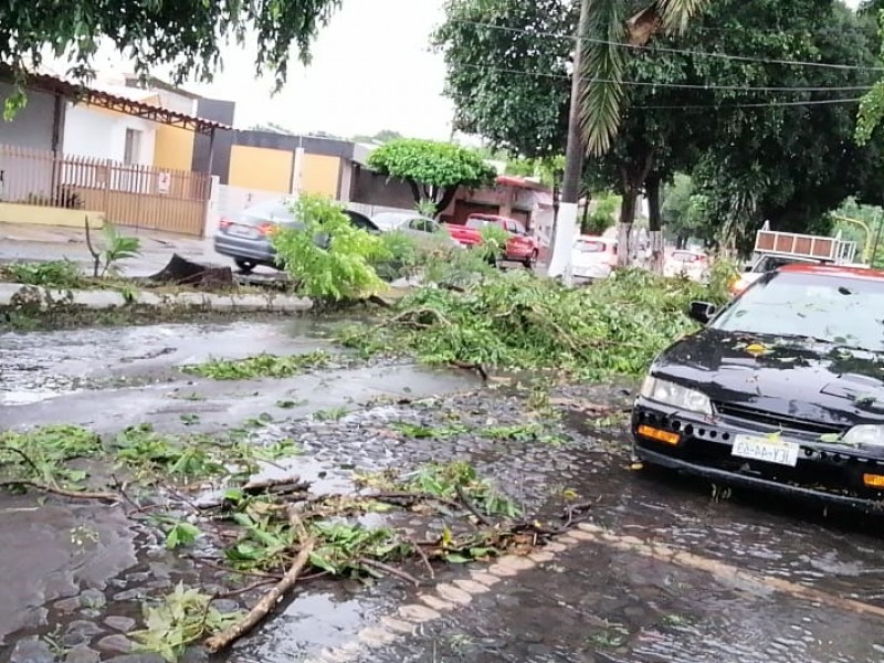 Inundaciones, encharcamientos, árboles y espectaculares caídos, saldo de lluvias