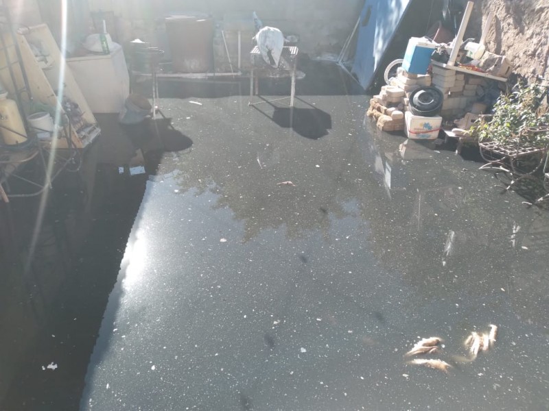 Inundado de aguas negras en vivienda