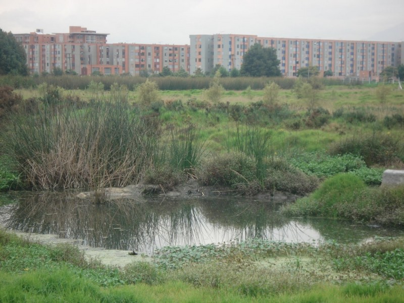 Invasiones, carencia de reserva territorial y plan de desarrollo urbano