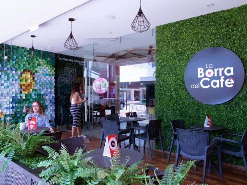 Inversionistas destapan fraude en Borra del Café