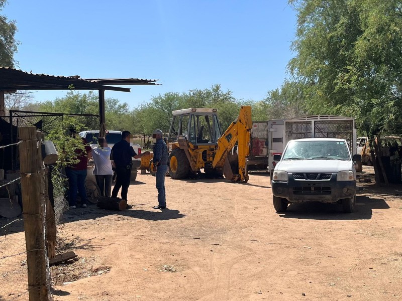 Investiga FGJES muerte de animales en predio de Hermosillo