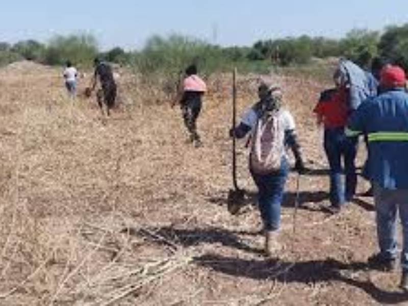 Investiga Hallazgo de Osamentas en el Valle del Yaqui
