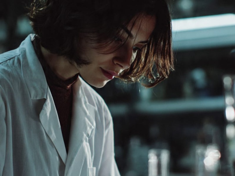 investigadoras; bajo un techo de cristal