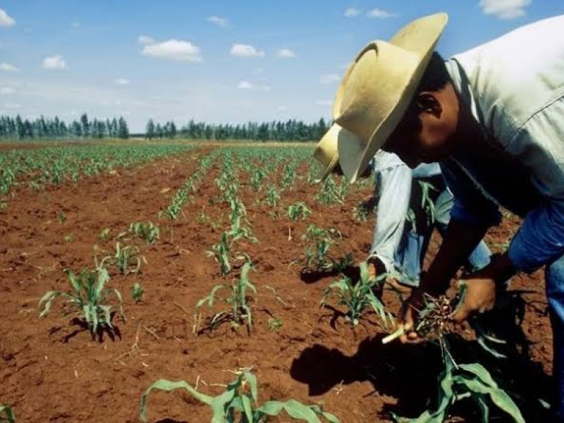 Investigan a líderes campesinos por presunta corrupción