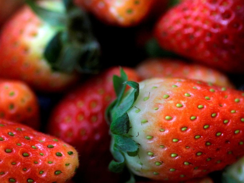Investigan casos de hepatitis vinculados a fresas contaminadas