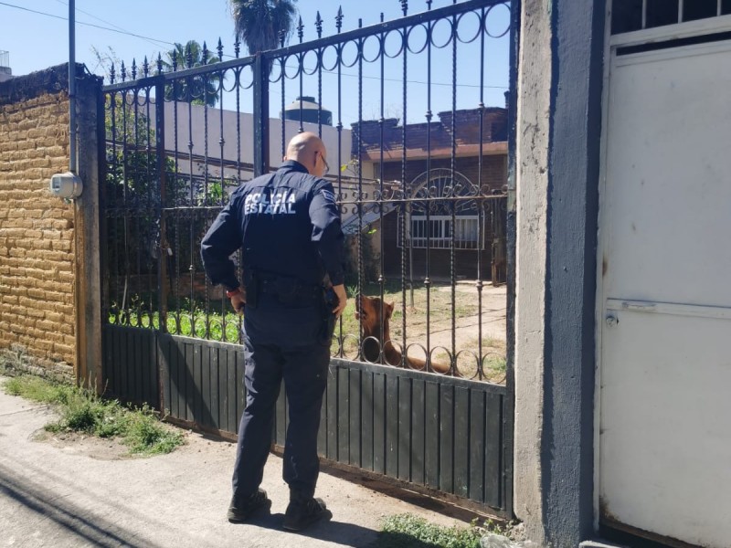 Investigan denuncia de presunto maltrato animal en  El Rodeo