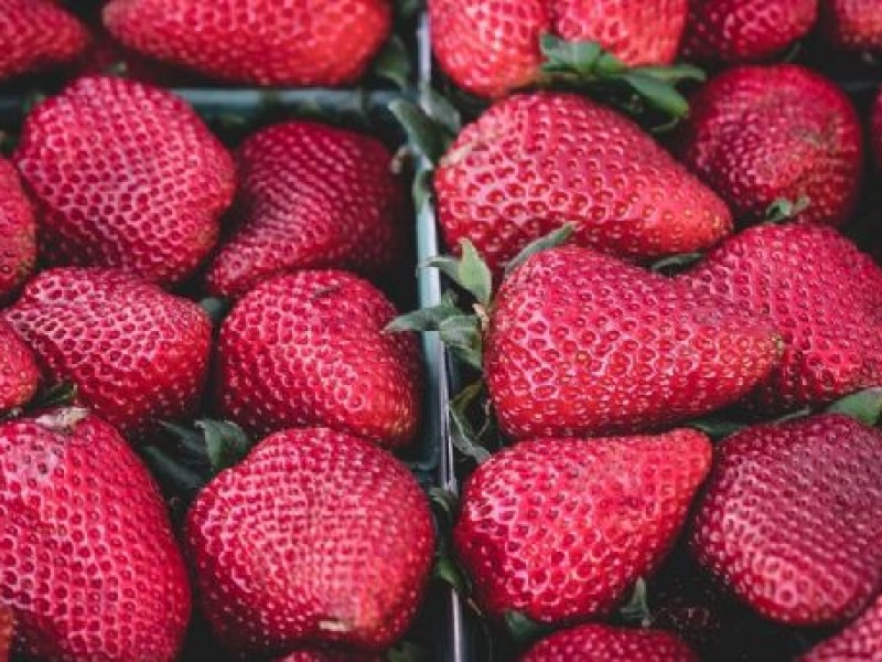 Investigan fresas mexicanas por brote de hepatitis en Estados Unidos