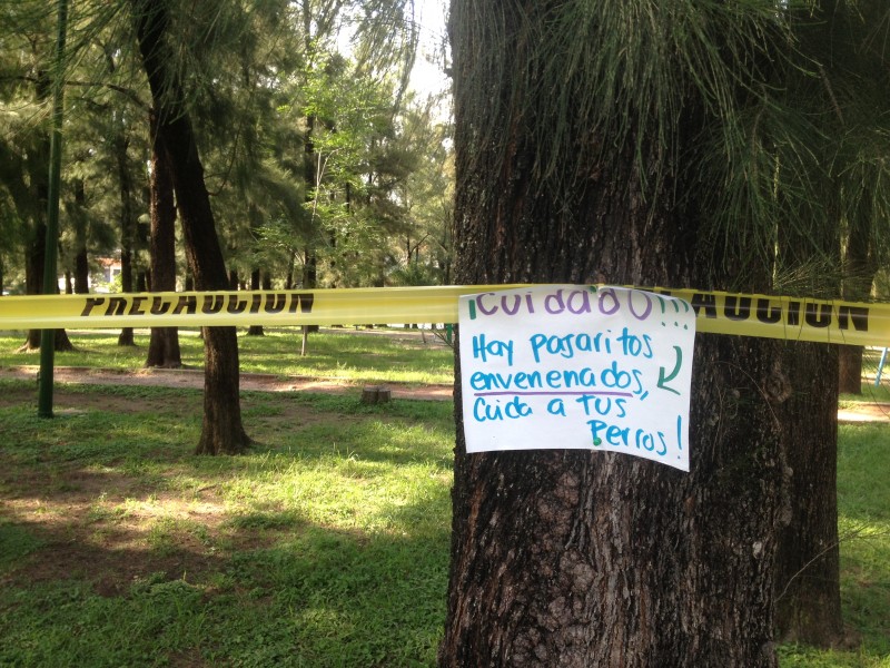 Investigan muerte de aves en parque Loma Real