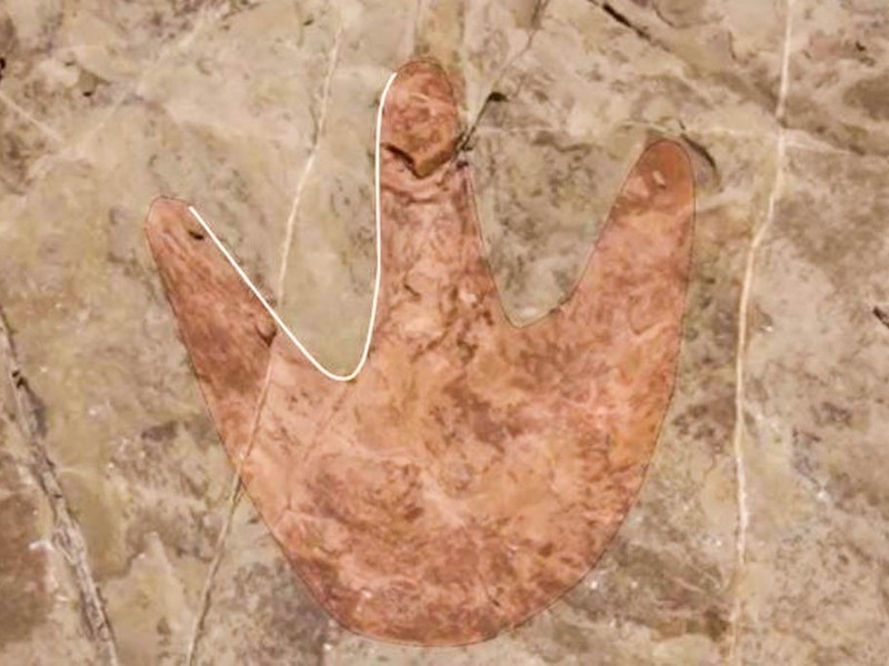 Investigan supuesta huella de dinosaurio en comunidad de Tehuacán