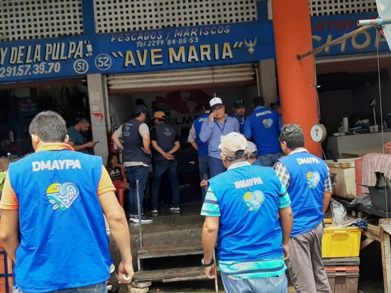 Investigarán muerte de tiburón con crías en Veracruz