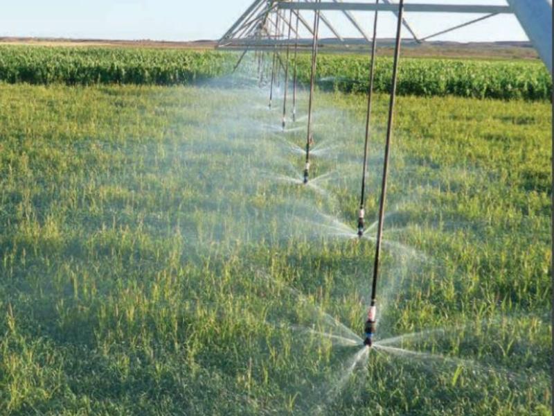 Invierten 5 mil 650 millones en tecnificación de sistema de riego