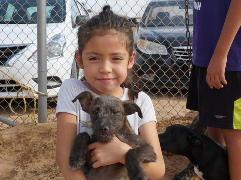 Invita Centro de Control Animal a celebrar el Día del Perro