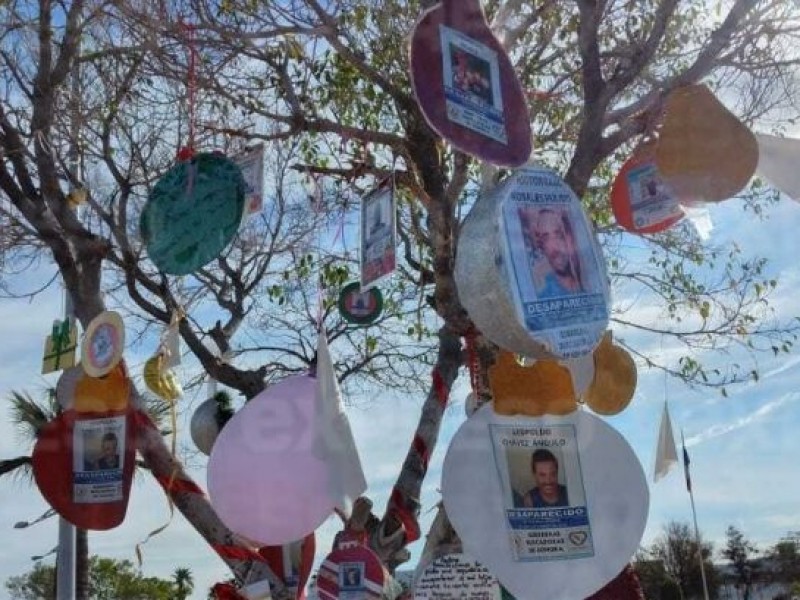 Invita Guerreras Buscadoras a adornar el árbol de la esperanza