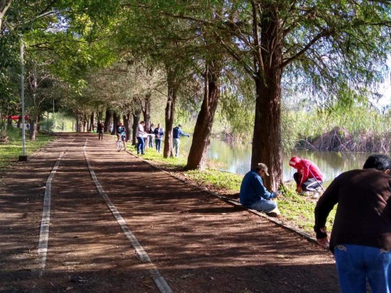 Invita Parque Ecológico a disfrutar de avistamiento de aves migratorias