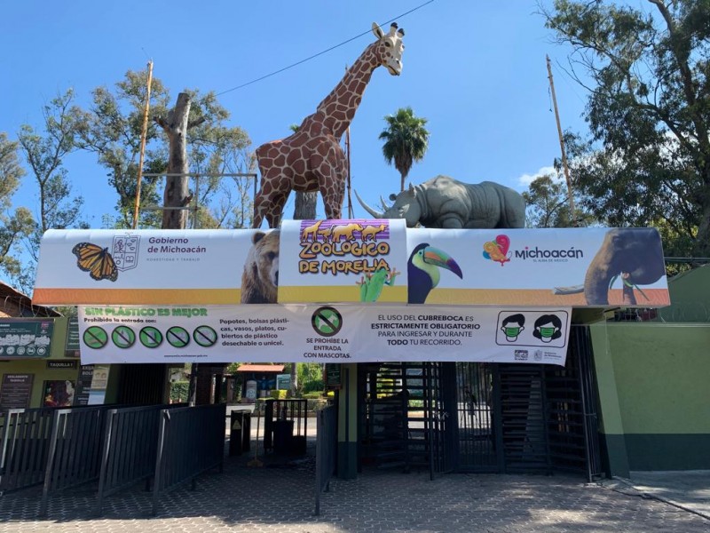 Invita Zoológico Morelia a visitarlo en últimos días de vacaciones