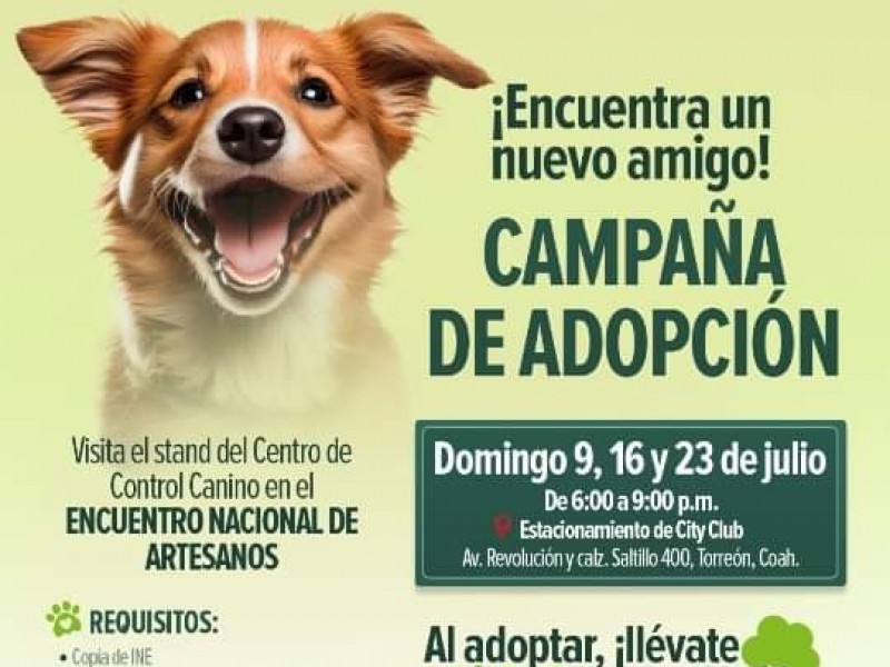 Invitan a adoptar mascotas y un árbol