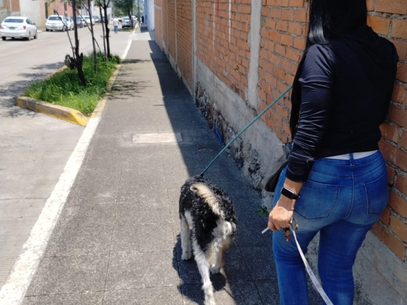 Invitan a apoyar en paseo dominical del refugio Ghapad