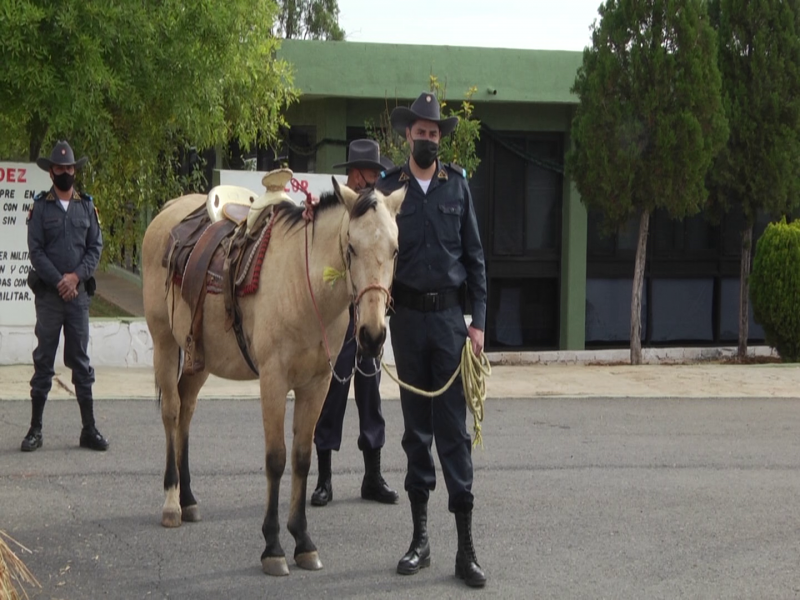 Invitan a Cabalgata con las fuerzas armadas