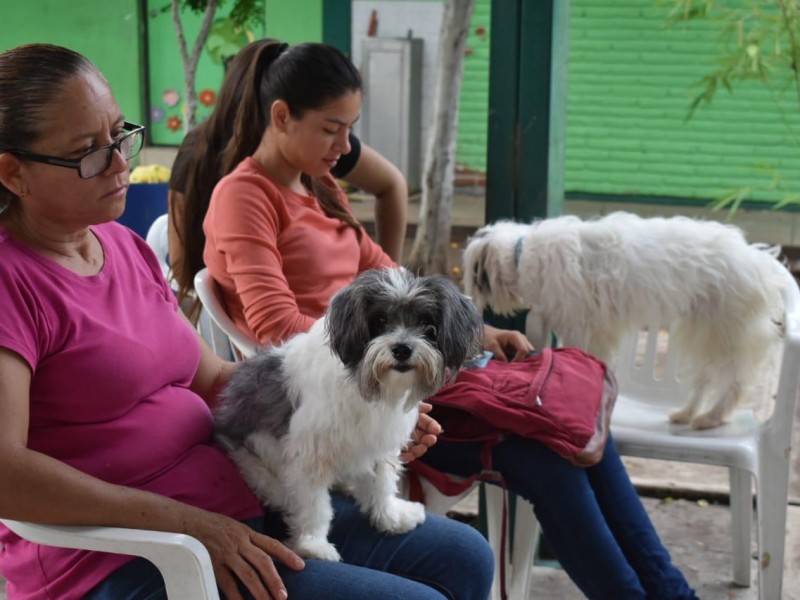 Invitan a campaña de esterilización en Pericos, Mocorito