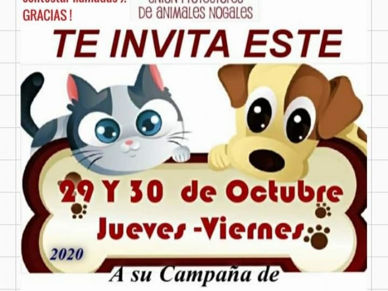 Invitan a campaña de esterilización gratuita de mascotas