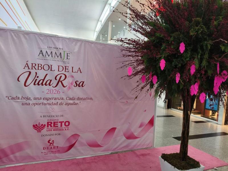 Invitan a donar en Árbol de la Vida para pacientes con cáncer