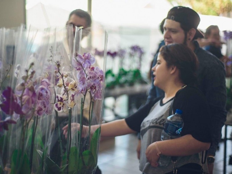 Invitan a Expo-Venta de Orquídeas de Invierno en Coatepec